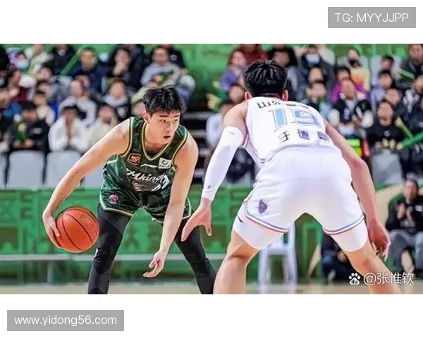 CBA南区与北区精彩对决录像回放分析与精彩瞬间回顾