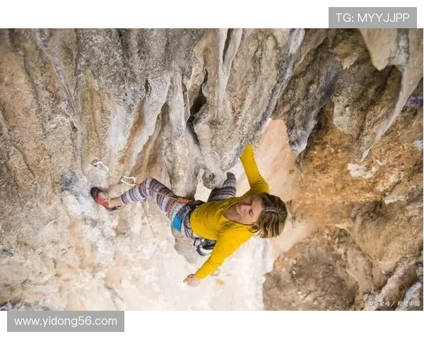 攀岩之巅：深入杭州攀岩队的训练与挑战之旅